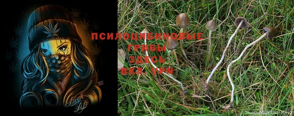 мяу мяу кристалл Саяногорск