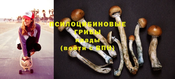 молекула духа Балахна